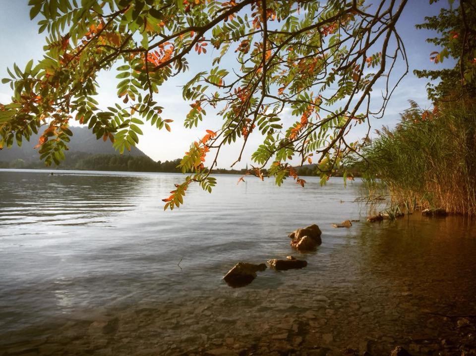 Apartmenthaus Der Johanneshof - Tolle Lage Nah Am See 슐리에르시 외부 사진